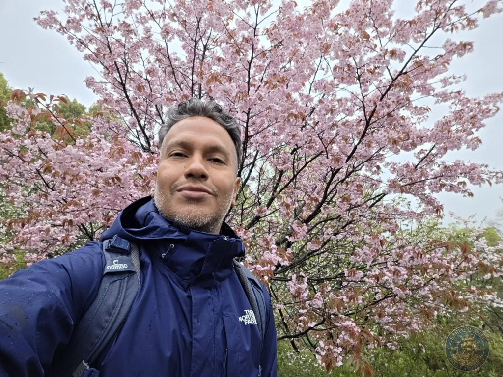 Danny taking a selfie with blooming pink cherry blossom trees at Makino Botanical Garden in Kochi, Japan. Spring sakura scene. Kochi Cruise Port Guide | Things to do in Kochi from cruise ship | One day in Kochi Japan itinerary by Danny and Peter.