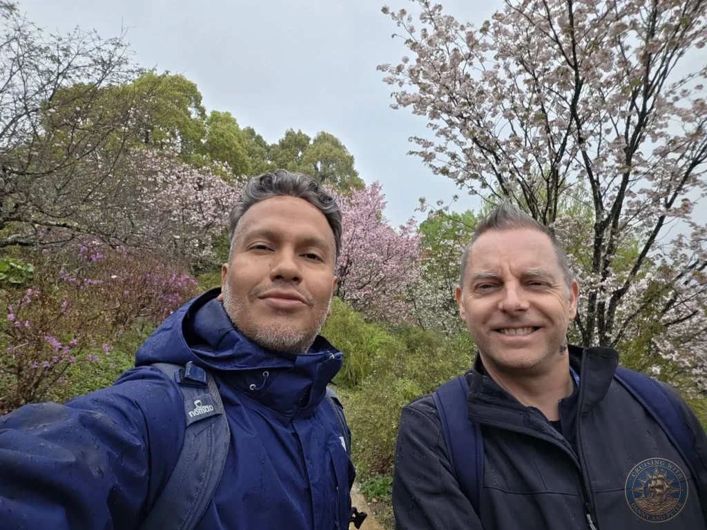 Danny and Peter taking a selfie surrounded by pink cherry blossom trees at Makino Botanical Garden in Kochi, Japan. Spring garden scene. Kochi Cruise Port Guide | Things to do in Kochi from cruise ship | One day in Kochi Japan itinerary by Danny and Peter.