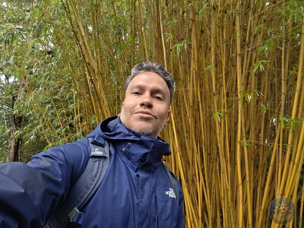 Danny taking a selfie with tall yellow-green bamboo at Makino Botanical Garden in Kochi, Japan. Dense bamboo forest background. Kochi Cruise Port Guide | Things to do in Kochi from cruise ship | One day in Kochi Japan itinerary by Danny and Peter.