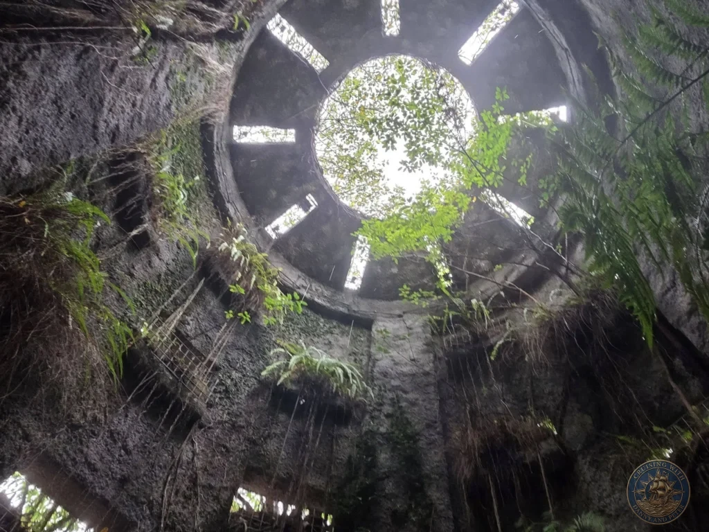 Looking up through open-top concrete structure overgrown with ferns at Makino Botanical Garden in Kochi, Japan. Historic ruin with sky view. Kochi Cruise Port Guide | Things to do in Kochi from cruise ship | One day in Kochi Japan itinerary by Danny and Peter.