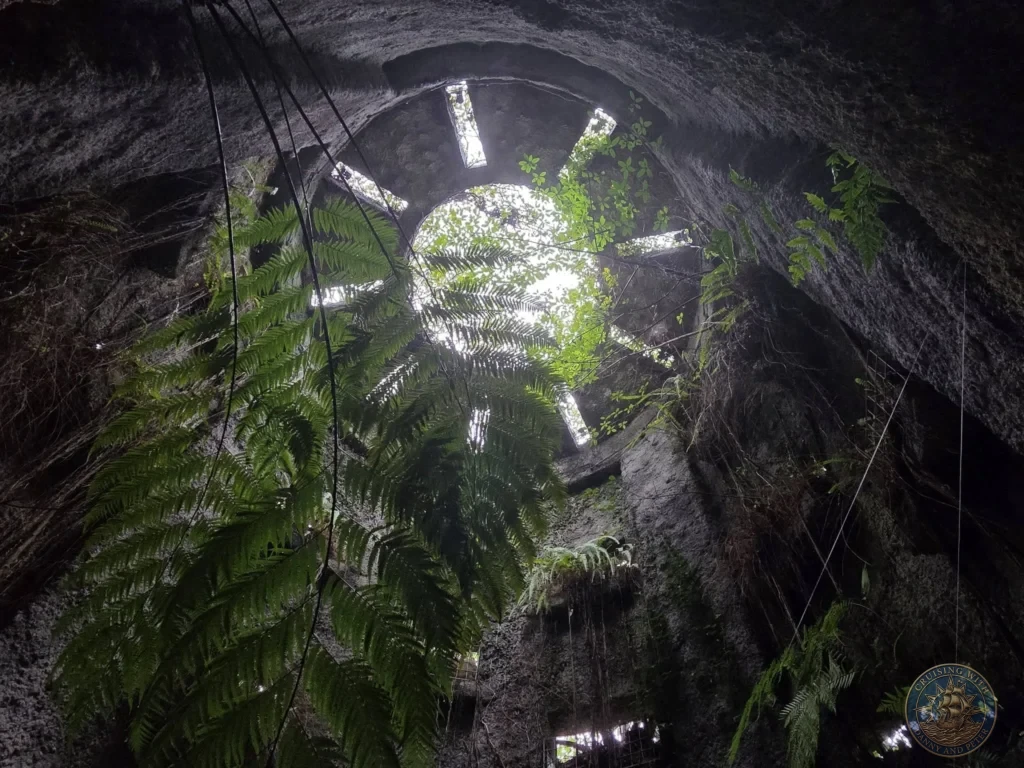 Looking up from inside overgrown concrete structure with lush ferns at Makino Botanical Garden in Kochi, Japan. Historic ruin with natural light. Kochi Cruise Port Guide | Things to do in Kochi from cruise ship | One day in Kochi Japan itinerary by Danny and Peter.