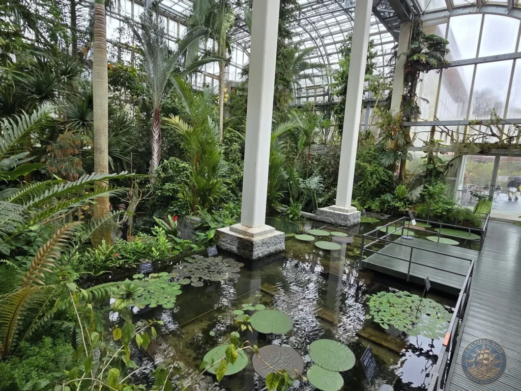 Large greenhouse pond with lily pads, tropical plants, and white pillars at Makino Botanical Garden in Kochi, Japan. Conservatory water feature. Kochi Cruise Port Guide | Things to do in Kochi from cruise ship | One day in Kochi Japan itinerary by Danny and Peter.
