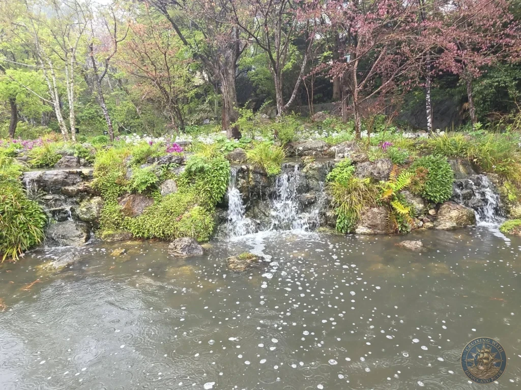 Cascading waterfalls flowing into the pond surrounded by cherry blossoms at Makino Botanical Garden in Kochi, Japan. Spring garden view. Kochi Cruise Port Guide | Things to do in Kochi from cruise ship | One day in Kochi Japan itinerary by Danny and Peter.