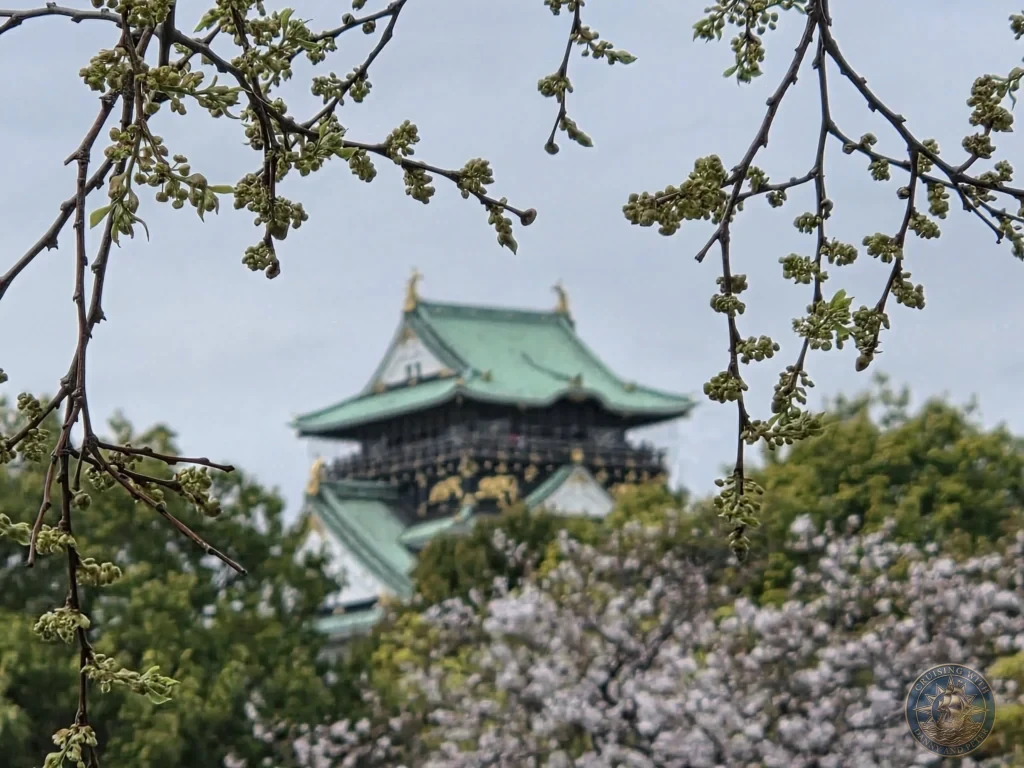 Kobe Japan Cruise Port Guide 2026 – Insider Tips & One Day Itinerary 35 Tree branches with budding spring leaves framing a blurred view of Osaka Castle's green and gold roof with cherry blossoms blooming below under a cloudy sky; ideal for a Kobe Japan Cruise Port Guide, DIY Kobe Cruise Port to City Center, Things to do in Kobe from cruise ship,
