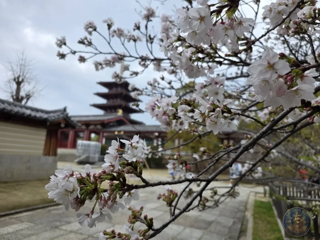 Kobe Japan Cruise Port Guide 2026 – Insider Tips & One Day Itinerary 153 Soft pink cherry blossom flowers blooming in the foreground with the blurred five-story pagoda of Shitennoji Temple in the background in Osaka, Japan; ideal for a Kobe Japan Cruise Port Guide, DIY Kobe Cruise Port to City Center, Things to do in Kobe from cruise ship, MS Westerdam Kobe Docking Location, or One day in Kobe Japan itinerary, by Danny and Peter.