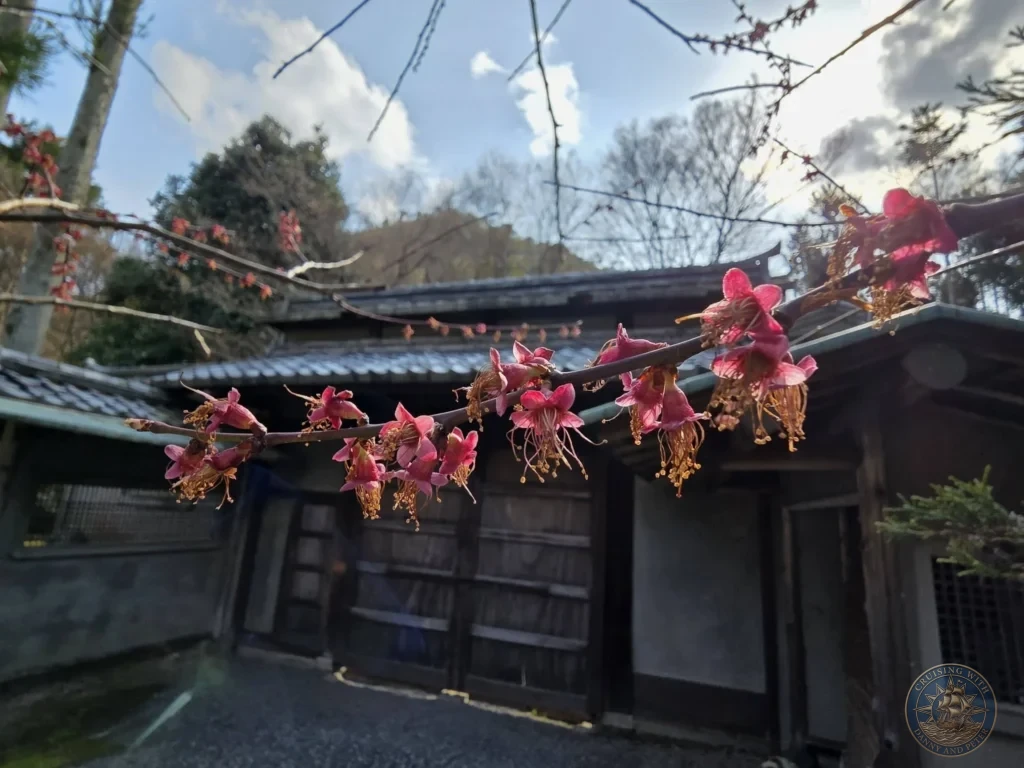 Kobe Japan Cruise Port Guide 2026 – Insider Tips & One Day Itinerary 85 Close-up of pink plum blossoms on a branch with a traditional Japanese building in the background at Shozan Resort Garden under a partly cloudy sky in Kyoto, Japan. Spring blooms from Kobe port day. Kobe Japan Cruise Port Guide | DIY Kobe Cruise Port to City Center | Things to do in Kobe from cruise ship | Westerdam Kobe Docking Location | One day in Kobe Japan itinerary by Danny and Peter.