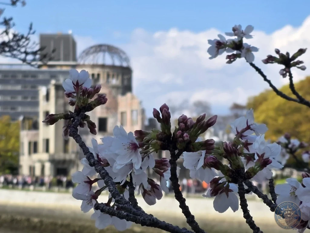 Hiroshima Japan Cruise Port Guide 2026 – Insider Tips & One Day Itinerary 50 Close-up of opening cherry blossom buds and fresh spring flowers on branches with the Atomic Bomb Dome soft-focused in the background on a bright day in Hiroshima Japan. Hiroshima Japan Cruise Port Guide, DIY Hiroshima Cruise Port to City Center, Things to do in Hiroshima from cruise ship, Westerdam Hiroshima Docking Location, One day in Hiroshima Japan itinerary by Danny and Peter.