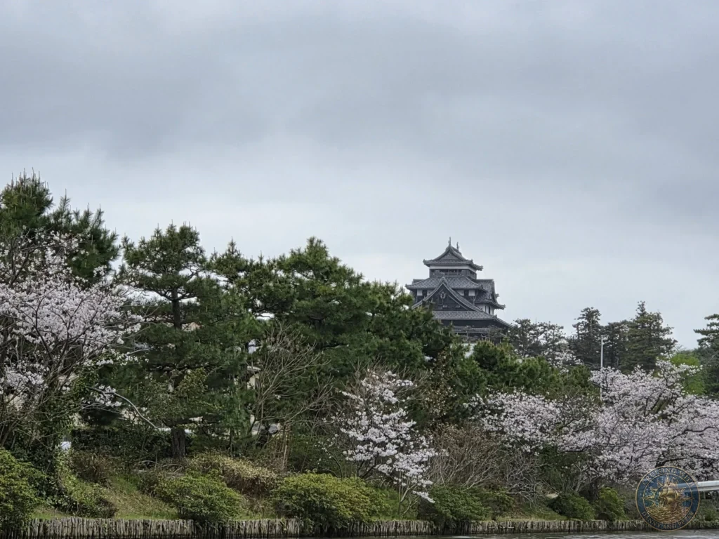 View of historic Matsue Castle keep peeking through pine trees and blooming white cherry blossom trees from the Horikawa Canal during a shore excursion from Sakaiminato Japan Cruise Port Guide, DIY Sakaiminato Cruise Port to City Center, Things to do in Sakaiminato from cruise ship, Westerdam Sakaiminato Docking Location, One day in Sakaiminato Japan itinerary by Danny and Peter.