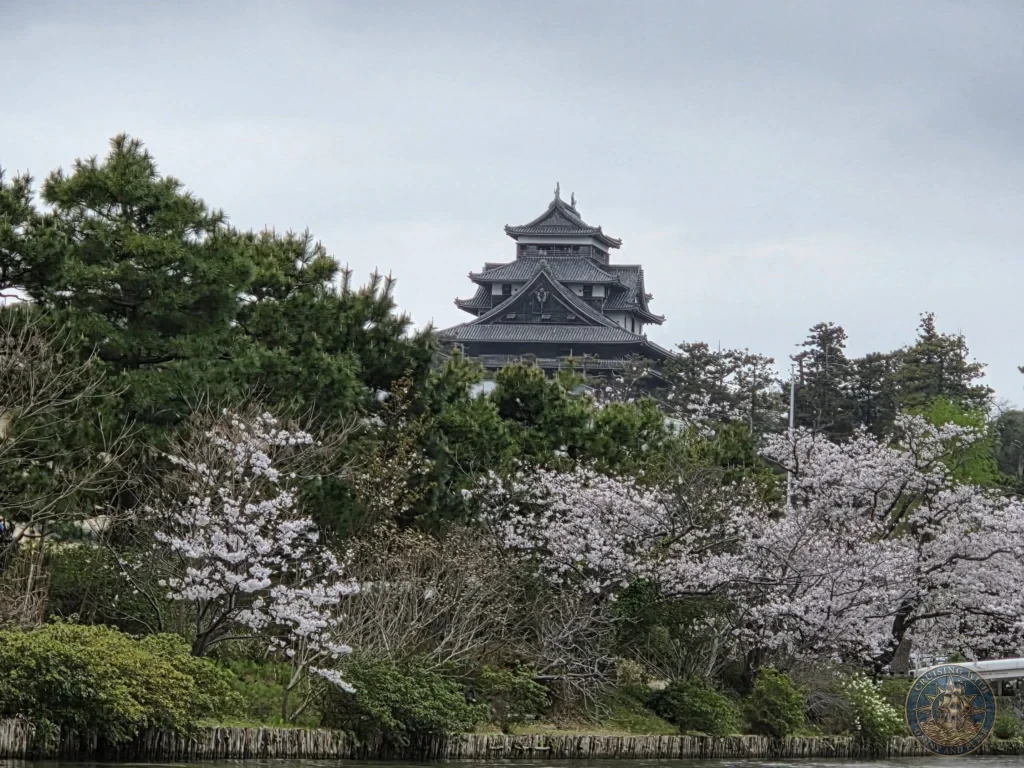 A closer view of the original dark wood Matsue Castle keep standing majestic above green pine trees and soft pink cherry blossoms along the Horikawa Canal during a shore excursion from Sakaiminato Japan Cruise Port Guide, DIY Sakaiminato Cruise Port to City Center, Things to do in Sakaiminato from cruise ship, Westerdam Sakaiminato Docking Location, One day in Sakaiminato Japan itinerary by Danny and Peter.