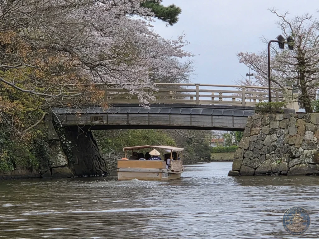 A traditional covered Horikawa sightseeing boat passing under a historic stone and wooden bridge framed by cherry blossoms along the castle moat in Matsue during a shore excursion from Sakaiminato Japan Cruise Port Guide, DIY Sakaiminato Cruise Port to City Center, Things to do in Sakaiminato from cruise ship, Westerdam Sakaiminato Docking Location, One day in Sakaiminato Japan itinerary by Danny and Peter.