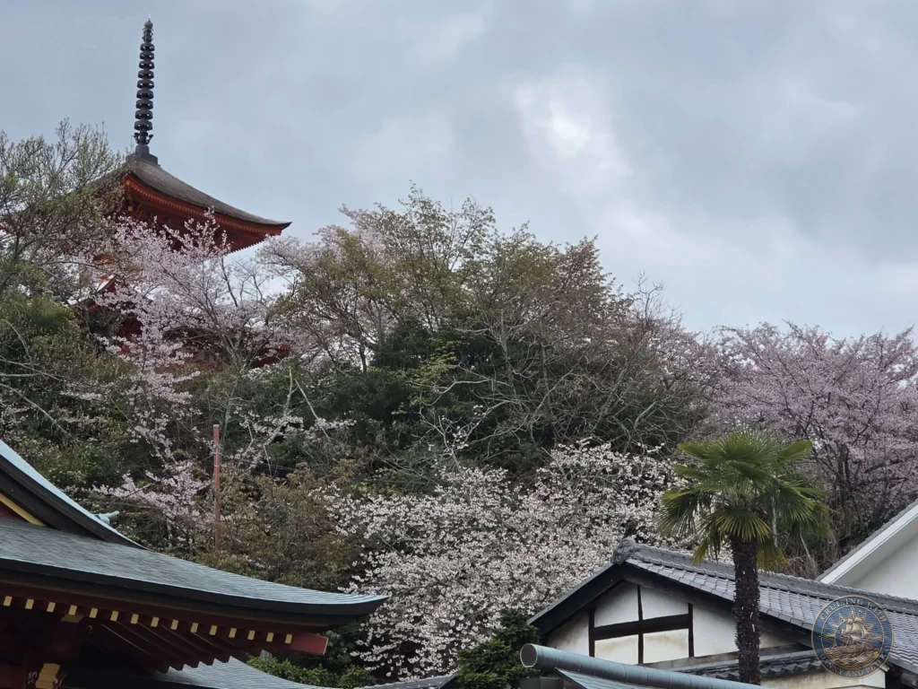Hiroshima Japan Cruise Port Guide 2026 – Insider Tips & One Day Itinerary 3 View looking up at the five-story Gojunoto Pagoda rising above blooming pink cherry blossom trees and traditional tiled roofs on Miyajima Island in Hiroshima Japan. Hiroshima Japan Cruise Port Guide, DIY Hiroshima Cruise Port to City Center, Things to do in Hiroshima from cruise ship, Westerdam Hiroshima Docking Location, One day in Hiroshima Japan itinerary by Danny and Peter.