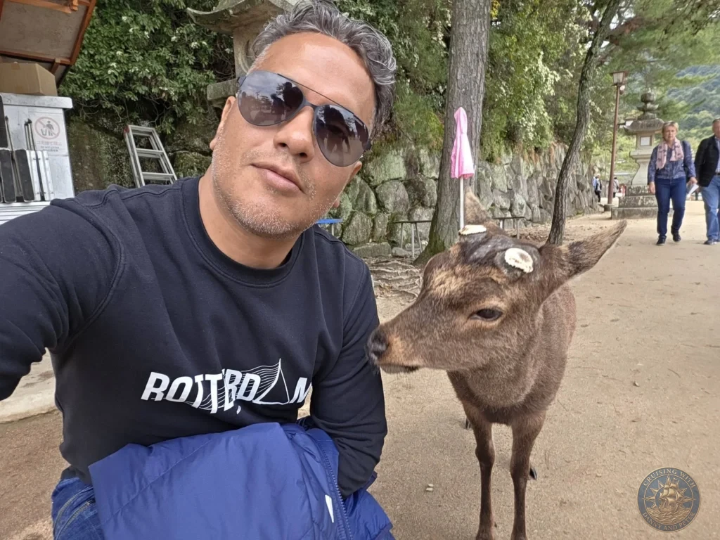 Hiroshima Japan Cruise Port Guide 2026 – Insider Tips & One Day Itinerary 7 Danny taking a selfie with a wild free-roaming Sika deer on a sandy pathway on Miyajima Island in Hiroshima Japan. Hiroshima Japan Cruise Port Guide, DIY Hiroshima Cruise Port to City Center, Things to do in Hiroshima from cruise ship, Westerdam Hiroshima Docking Location, One day in Hiroshima Japan itinerary by Danny and Peter.