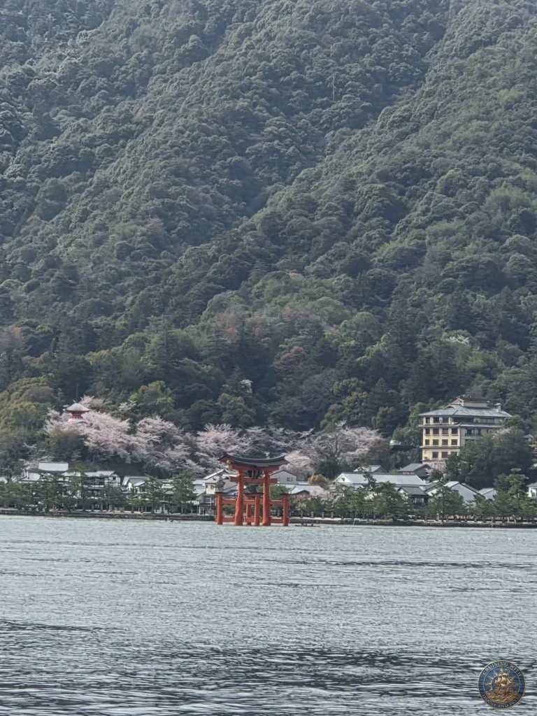 Hiroshima Japan Cruise Port Guide 2026 – Insider Tips & One Day Itinerary 76 Scenic view from the water showing the red floating Torii Gate of Itsukushima Shrine nestled against lush green mountains and cherry blossom trees on Miyajima Island in Hiroshima Japan. Hiroshima Japan Cruise Port Guide, DIY Hiroshima Cruise Port to City Center, Things to do in Hiroshima from cruise ship, Westerdam Hiroshima Docking Location, One day in Hiroshima Japan itinerary by Danny and Peter.