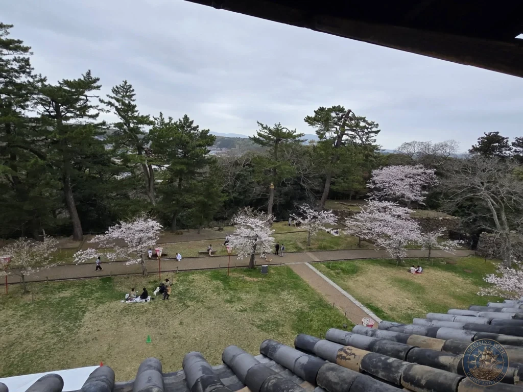 View from upper level of Matsue Castle looking down over traditional curved roof tiles onto visitors enjoying spring cherry blossoms in the park grounds during a shore excursion from Sakaiminato Japan Cruise Port Guide, DIY Sakaiminato Cruise Port to City Center, Things to do in Sakaiminato from cruise ship, Westerdam Sakaiminato Docking Location, One day in Sakaiminato Japan itinerary by Danny and Peter.