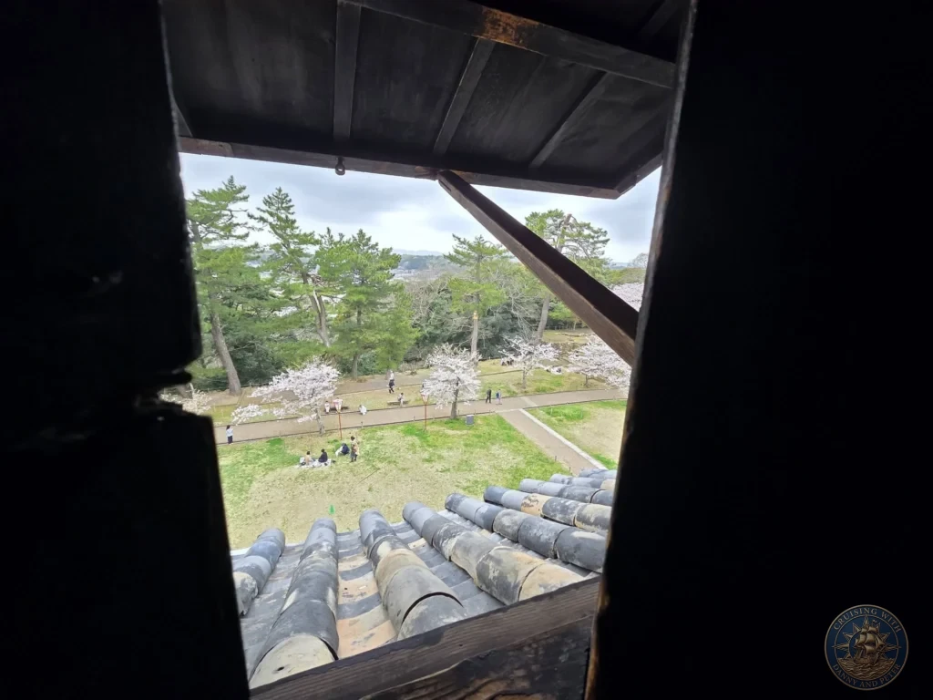 Framed view through a dark wooden window slit inside Matsue Castle looking out over rounded roof tiles toward cherry blossoms and park visitors during a shore excursion from Sakaiminato Japan Cruise Port Guide, DIY Sakaiminato Cruise Port to City Center, Things to do in Sakaiminato from cruise ship, Westerdam Sakaiminato Docking Location, One day in Sakaiminato Japan itinerary by Danny and Peter.
