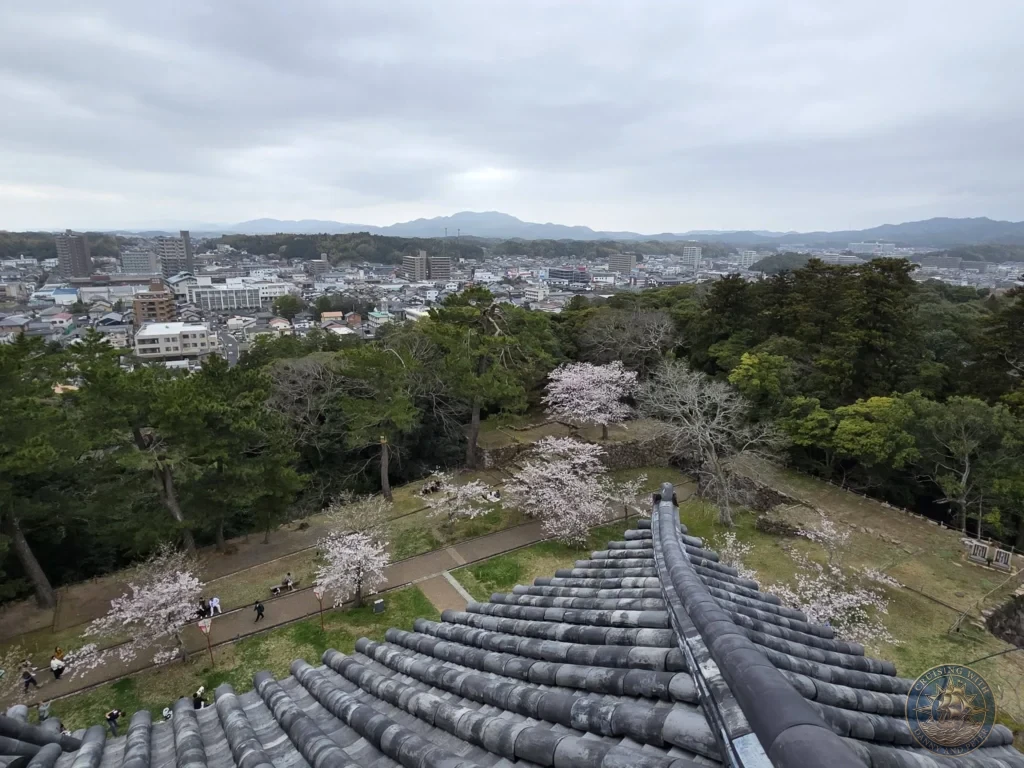 Elevated view looking directly down over the grey curved tiled roof ridge of Matsue Castle keep toward blooming cherry blossom trees, surrounding forested grounds, and distant mountains during a shore excursion from Sakaiminato Japan Cruise Port Guide, DIY Sakaiminato Cruise Port to City Center, Things to do in Sakaiminato from cruise ship, Westerdam Sakaiminato Docking Location, One day in Sakaiminato Japan itinerary by Danny and Peter.