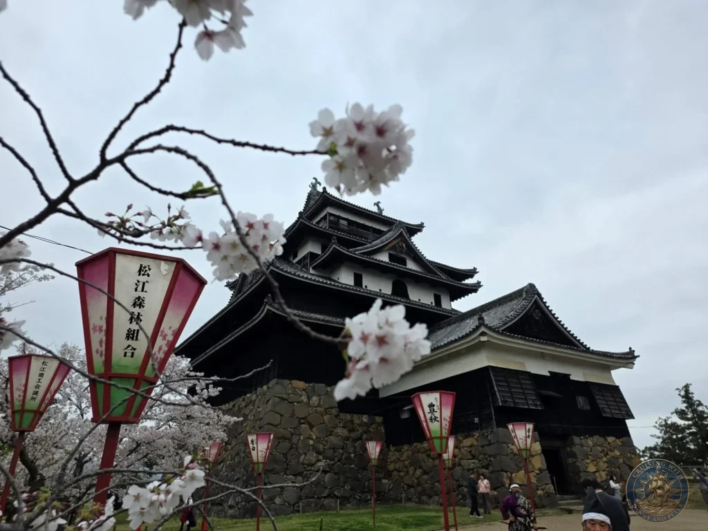 Historic main keep of Matsue Castle framed by soft pink cherry blossom branches and decorative paper festival lanterns during spring shore excursion from Sakaiminato Japan Cruise Port Guide, DIY Sakaiminato Cruise Port to City Center, Things to do in Sakaiminato from cruise ship, Westerdam Sakaiminato Docking Location, One day in Sakaiminato Japan itinerary by Danny and Peter.