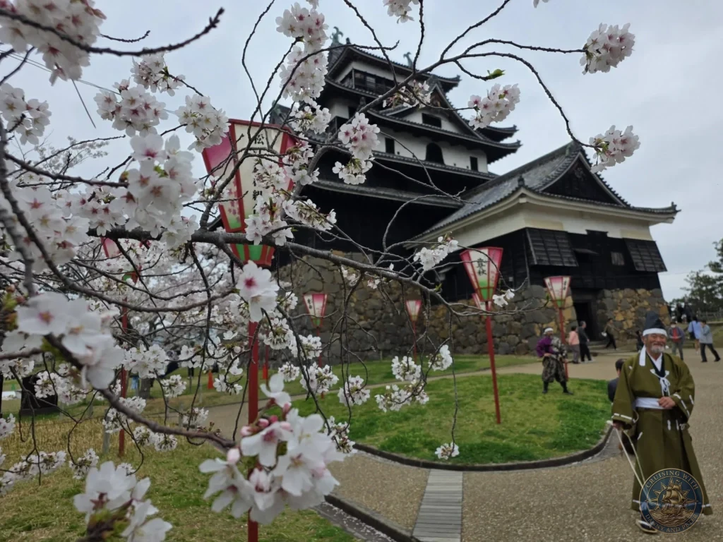 Cherry blossom branches in full bloom framing Matsue Castle with a local guide in traditional samurai attire walking on the grounds during a shore excursion from Sakaiminato Japan Cruise Port Guide, DIY Sakaiminato Cruise Port to City Center, Things to do in Sakaiminato from cruise ship, Westerdam Sakaiminato Docking Location, One day in Sakaiminato Japan itinerary by Danny and Peter.