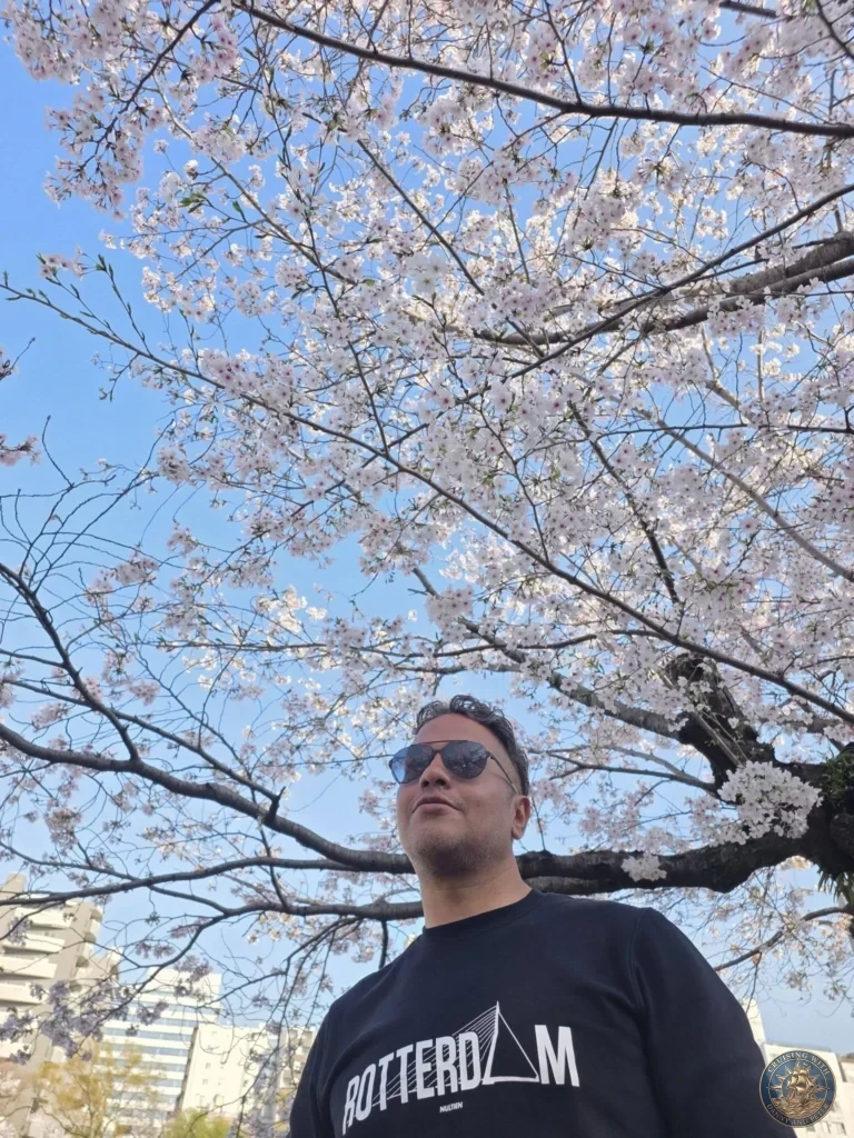 Hiroshima Japan Cruise Port Guide 2026 – Insider Tips & One Day Itinerary 71 A portrait looking up at a sprawling overhead canopy of pale pink cherry blossoms against a clear blue sky in Peace Memorial Park in Hiroshima Japan. Hiroshima Japan Cruise Port Guide, DIY Hiroshima Cruise Port to City Center, Things to do in Hiroshima from cruise ship, Westerdam Hiroshima Docking Location, One day in Hiroshima Japan itinerary by Danny and Peter.