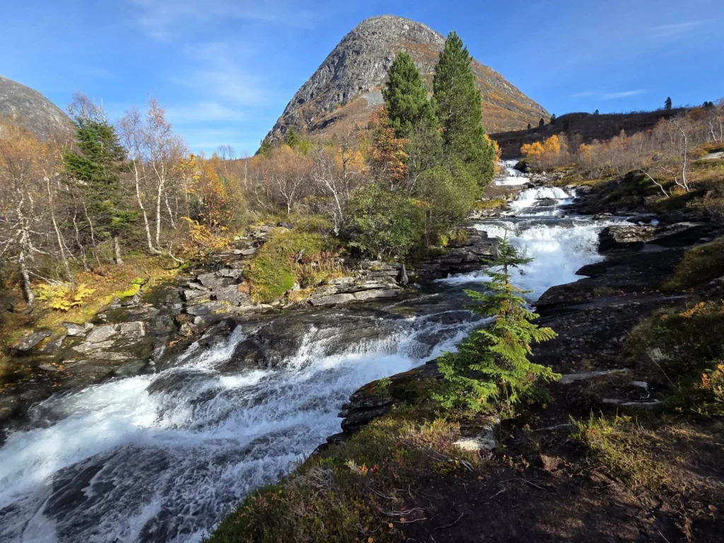 A cascading white water stream rushing down rocky slopes beneath a prominent mountain peak and vibrant autumn foliage near Krikebrua Waterfall during a Holland America Rotterdam shore excursion. Things to do in Ålesund from cruise ship, by Danny and Peter.