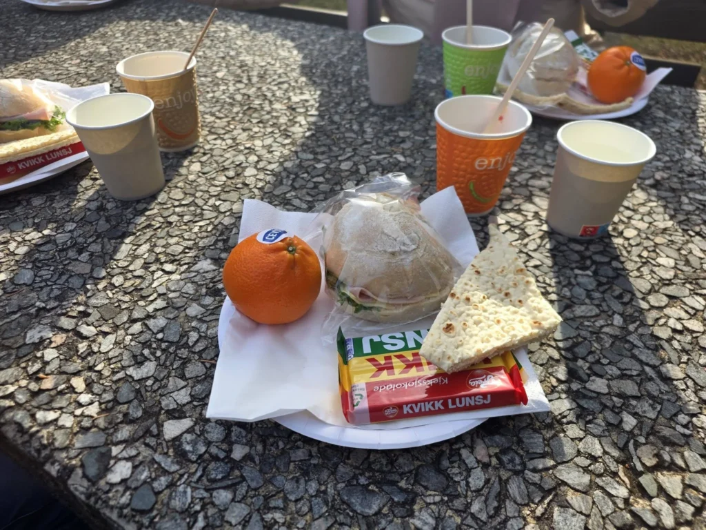 An outdoor picnic lunch featuring fresh sandwich rolls, oranges, flatbread, hot cherry juice, and Freia Kvikk Lunsj chocolate bars at Krikebrua Waterfall during a Holland America Rotterdam shore excursion. Things to do in Ålesund from cruise ship, by Danny and Peter.